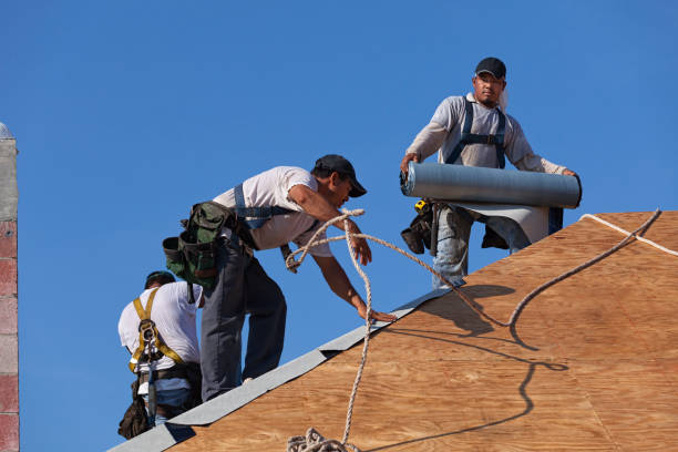Quick and Trustworthy Emergency Roof Repair Services in Lakeland, FL
